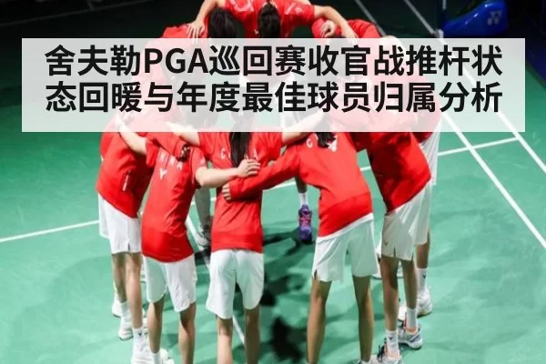 舍夫勒PGA巡回赛收官战推杆状态回暖与年度最佳球员归属分析